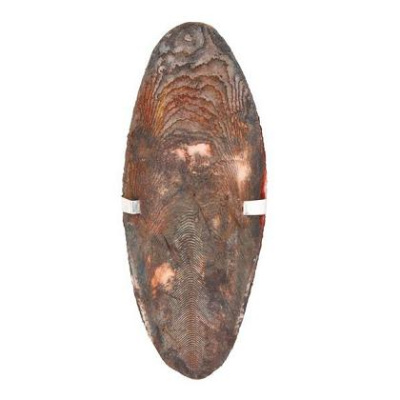 489ae54e-5162-11ea-a1cb-002590d4592f_3