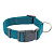 Ошейник (Дарэлл) "Евро" нейлон 25мм, обхват 45см-65см изумрудный