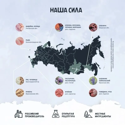 ТерриториЯ Кавказ  2,5кг индейка с брусникой сухой для щенков средних и крупных пород (560162)