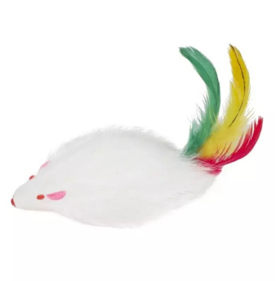 a841fdc5-ba41-11ec-ab82-00155d704702_1