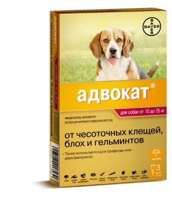 ec42fbb4-8560-11de-955a-00235401e7ac_1