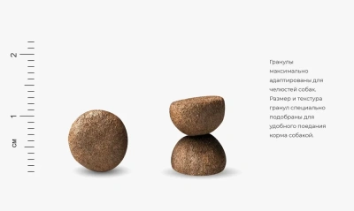 Farmina (Фармина) Fun Dog 10кг ягненок для собак 9204 (030153)