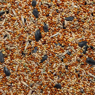 Вака плюс 0,5кг кормовая смесь для мелких и средних  попугаев