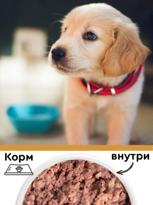 Четвероногий гурман 0,1кг Мясное ассорти с индейкой консервы для щенков
