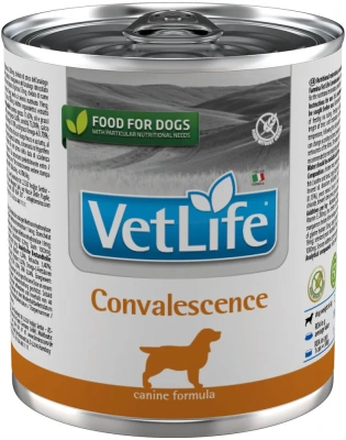 Farmina (Фармина) Vet Life Dog Convalescence 0,3кг паштет консервы для собак после болезни 1300 (102789) 6 шт/уп Farmina (Фармина) Vet Life Dog Convalescence 0,3кг паштет консервы для собак после болезни 1300 (102789) 6 шт/уп