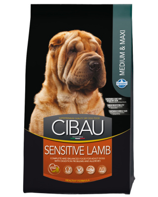 0ecddb98-1951-11e4-a757-003048dc4e8b_1