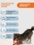 Игрушка (Doglike) Кольцо 8-мигранное DL малое, оранжевое d-20см для собак Игрушка (Doglike) Кольцо 8-мигранное DL малое, оранжевое d-20см для собак