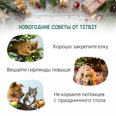 TiTBiT 0,05кг мышки с таурином для кошек (Новогодняя коллекция) 