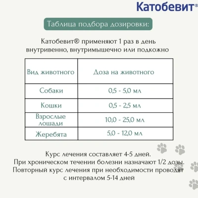 Катобевит (KRKA) для стимуляции обменных процессов и резистентности раствор для инъекций, 100мл (ЛИЦЕНЗИЯ)