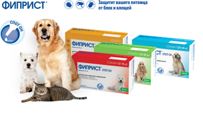 29525ac6-d92e-11e4-af1a-003048dc4e8b_1