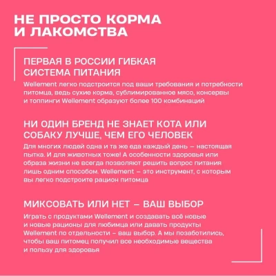 Wellement 2,5кг с индейкой сухой для щенков средних и крупных пород (003751)