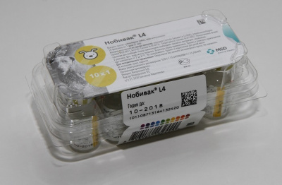 Нобивак L4 (LEPTO) MSD (Интервет) для собак 10 (ЛИЦЕНЗИЯ)