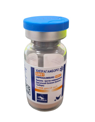 Хипрагамборо-GM97 5000 д*10 