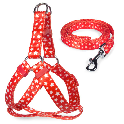 Комплект (Triol) Звёздочки XS поводок + шлейка, нейлон; 10мм*120см, 10мм*26-35см