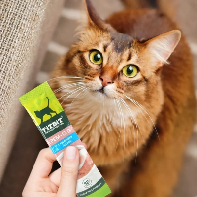 TiTBiT 0,01кг крем-суп для кошек с кусочками лосося