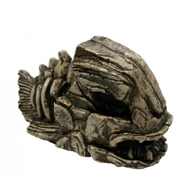 Грот (Deksi) № 901 Скелет рыбы