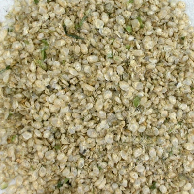 Нилпа Дафния 250мл (25г) для декоративных рыб и молодых пресноводных черепах (AQUAMENU)