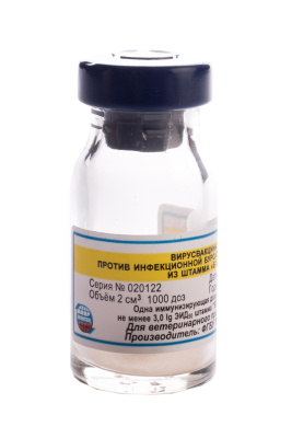 Вакцина пр.ИББ шт.БГ