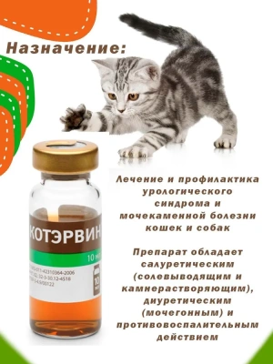 КОТЭРВИН (VEDA) для профилактики мочекаменной болезни, 10мл (3фл.) (ЛИЦЕНЗИЯ) КОТЭРВИН (VEDA) для профилактики мочекаменной болезни, 10мл (3фл.) (ЛИЦЕНЗИЯ)