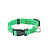 Ошейник (Дарэлл) "Евро" нейлон 15мм, обхват 25см-35см салатовый