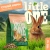 Литл Ван (Little One) 0,75кг Зеленая долина корм из разнотравья для кроликов