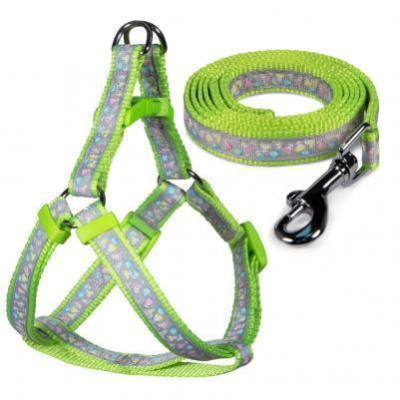 Комплект (Triol) Одуванчики-2 XS поводок + шлейка, нейлон; 12мм*120см, 12мм*26-37см Комплект (Triol) Одуванчики-2 XS поводок + шлейка, нейлон; 12мм*120см, 12мм*26-37см