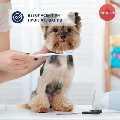 Tamachi зубной гель для собак и кошек 100мл
