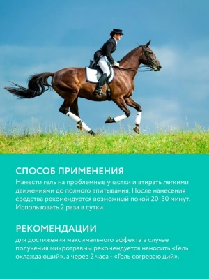 Гель Веда (VEDA) ЗооVIP 0,5л охлаждающий  антитравматический с ментолом Гель Веда (VEDA) ЗооVIP 0,5л охлаждающий  антитравматический с ментолом