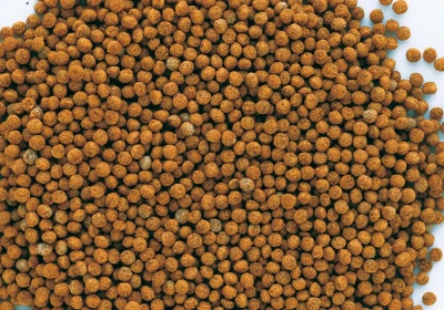 Tetra Goldfish Granules 0,25л корм гранулы для золотых рыбок 739901