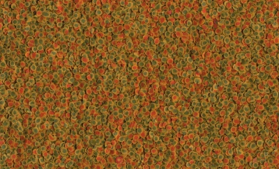 Tetra Pro Energy Multi Crisp 0,25л корм чипсы улучшенная формула для рыб 141742 Tetra Pro Energy Multi Crisp 0,25л корм чипсы улучшенная формула для рыб 141742