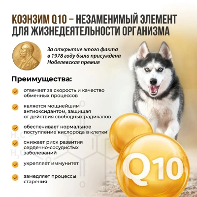 Юнитабс (Unitabs) Brewers Complex Q10 с пивными дрожжами для крупных собак 100таб./150г U202