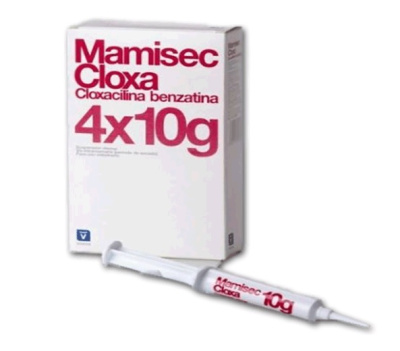Мамисек Клокса 10мл шприц (1/80)