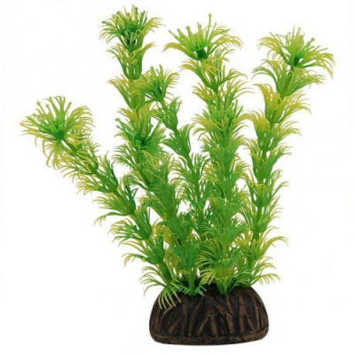 Растение (Laguna) 1367 пластик 13см  Амбулия желто-зеленый Растение (Laguna) 1367 пластик 13см  Амбулия желто-зеленый