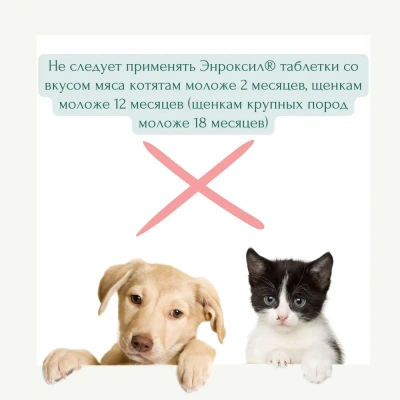 Энроксил 10% 100мл (ЛИЦЕНЗИЯ)