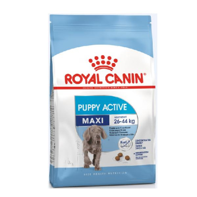 Роял Канин Maxi puppy active 15кг (д/крупных пород 5-18 мес.) сухой д/щенков (778619)