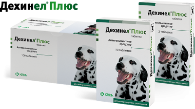 6efe6623-5479-11e0-b392-00235401e7ac_1