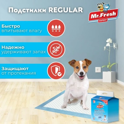 Пеленки (Mr.Fresh) Expert Regular для ежедневного применения (40*60) 30шт