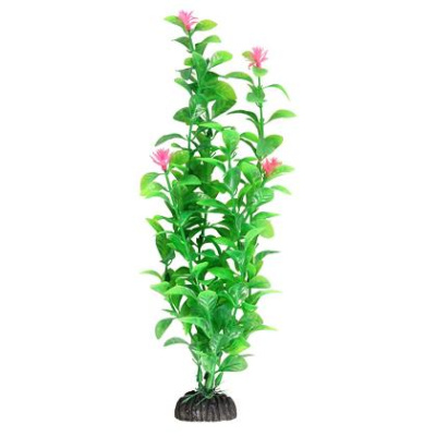 Растение (Laguna) 20см Незея цветущая