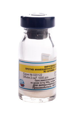 Вакцина пр.ИББ шт.БГ